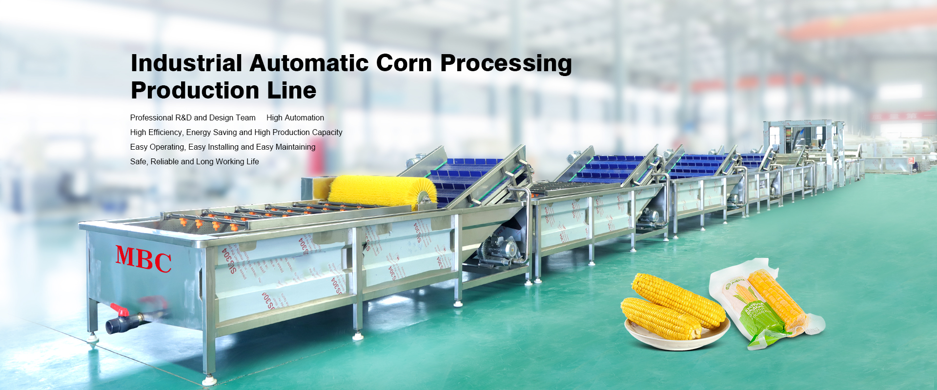 Zhucheng MBC CORN washing line.jpg